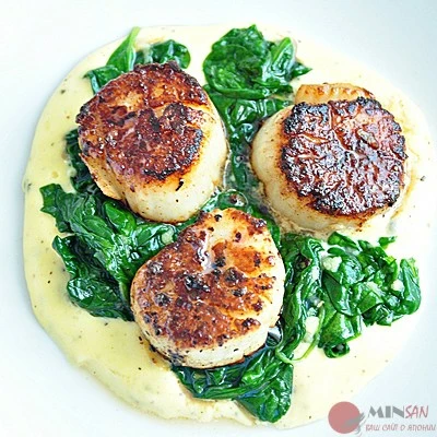 scallops