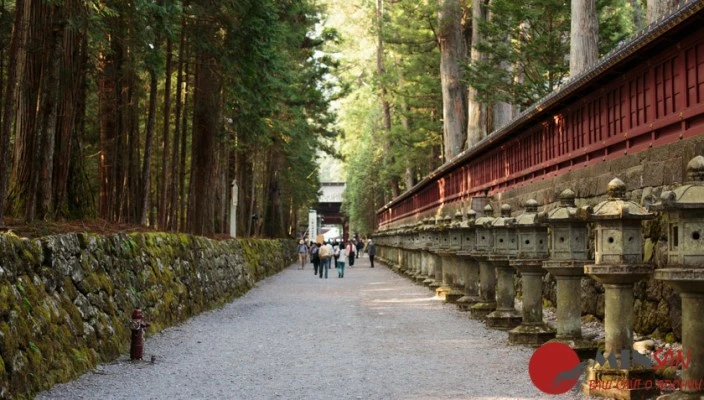 Nikko-Japan_MG_50331