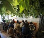 People Appreciate Exotic Birds At Bird Cafe In Tokyo