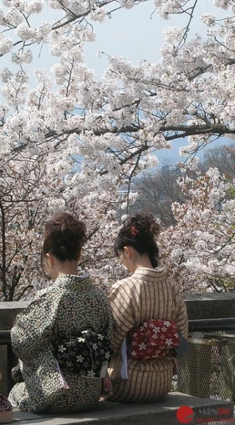 Kyoto-Girls-and-Kimono