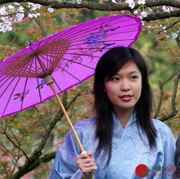 Sakura-Beauty-and-Parasol