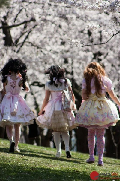 Sweet-Lolita-costumes-at-the-cherry-blossom-flower-viewing